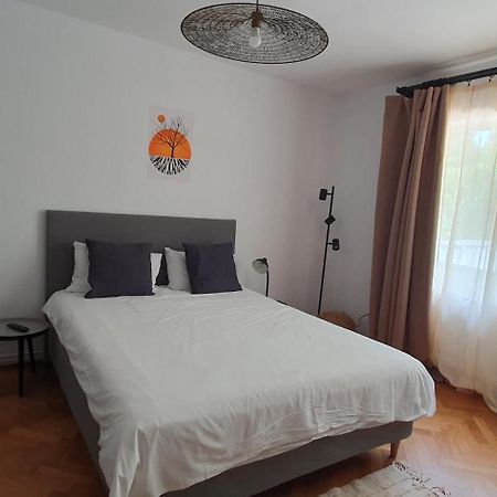 The Pines Serviced Apartments 布拉索夫 外观 照片
