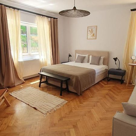 The Pines Serviced Apartments 布拉索夫 外观 照片