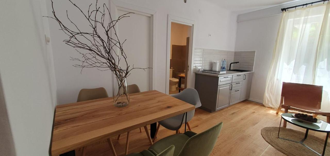 The Pines Serviced Apartments 布拉索夫 外观 照片