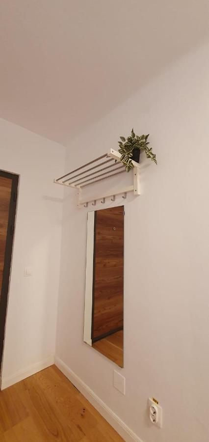 The Pines Serviced Apartments 布拉索夫 外观 照片